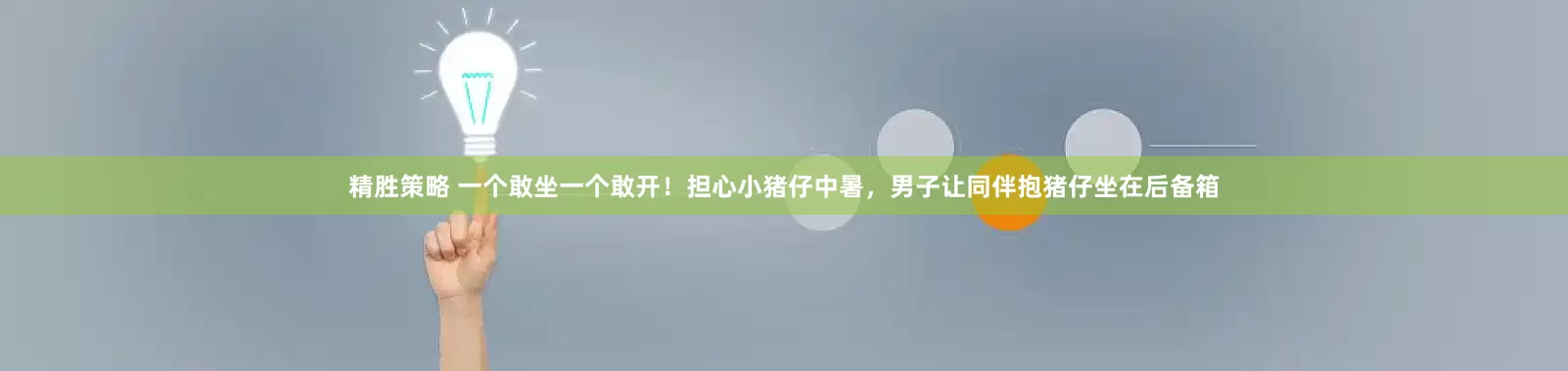 精胜策略 一个敢坐一个敢开！担心小猪仔中暑，男子让同伴抱猪仔坐在后备箱