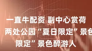 一直牛配资 副中心赏荷正当时，两处公园“夏日限定”景色醉游人